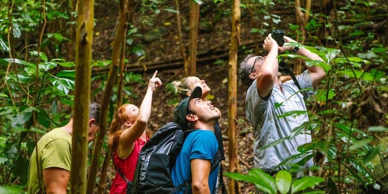 Hakalau Forest Reserve Exclusive hawaii luxe travel 0ca16587