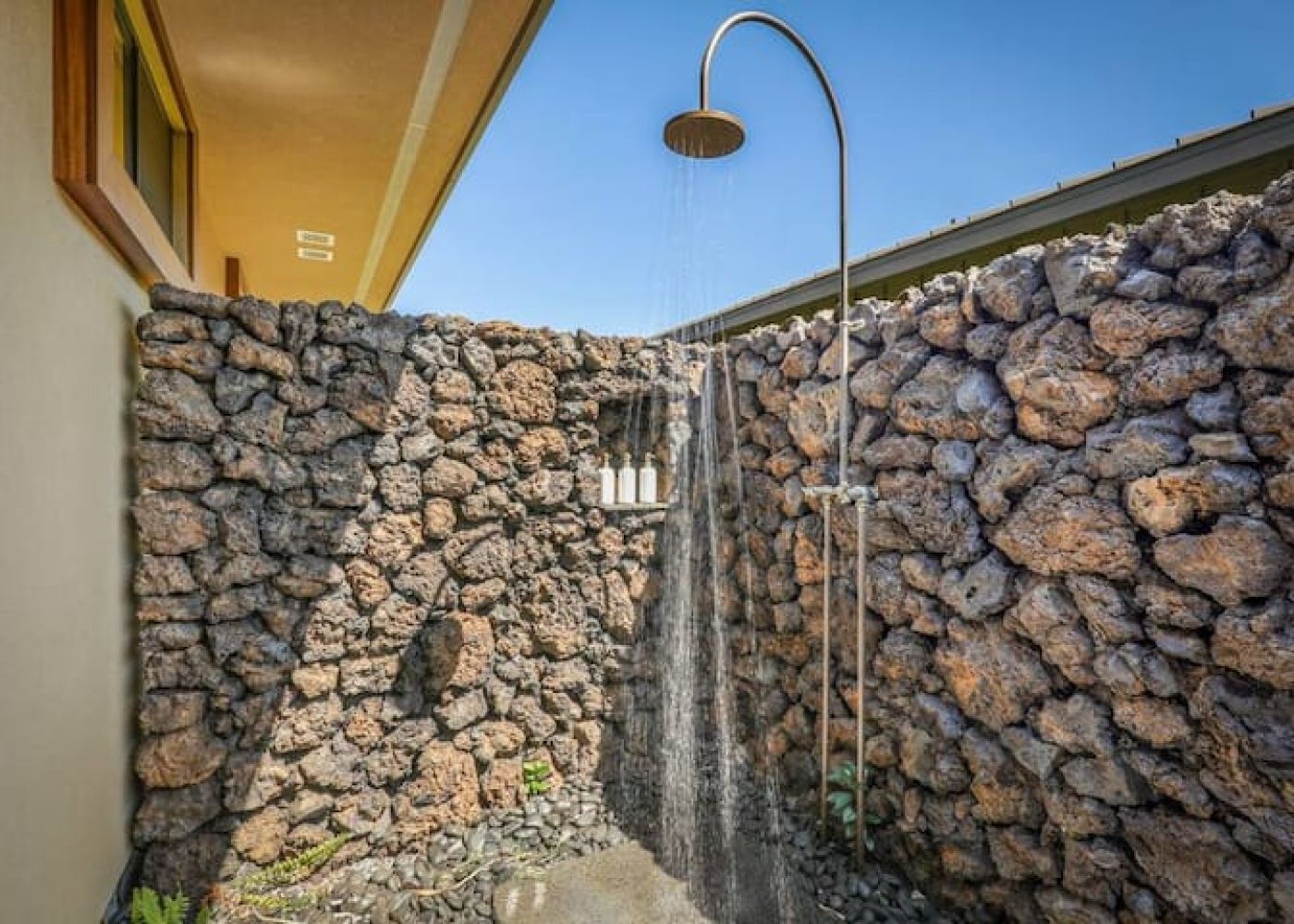 6f19315f cccf 46a7 a7de 3d6794a62053 2 1f2ee1c8