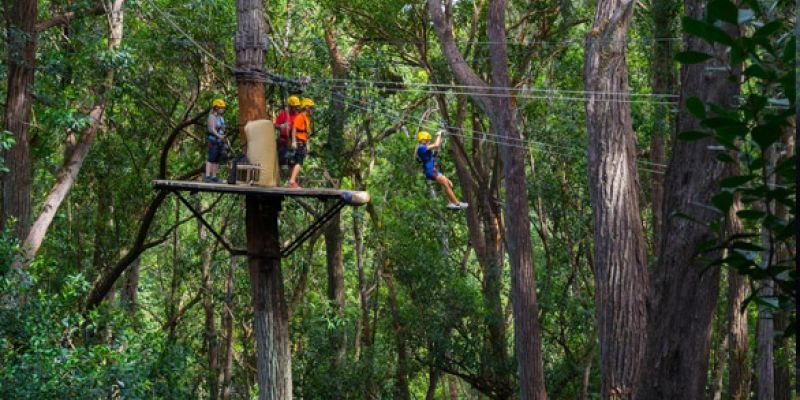 Kohala Private Ohana Outing 20f82b73