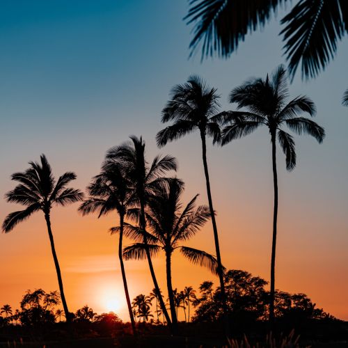 287e6a03 2a1e 430b aa21 ae6eaf1e7817 2 430c2b89