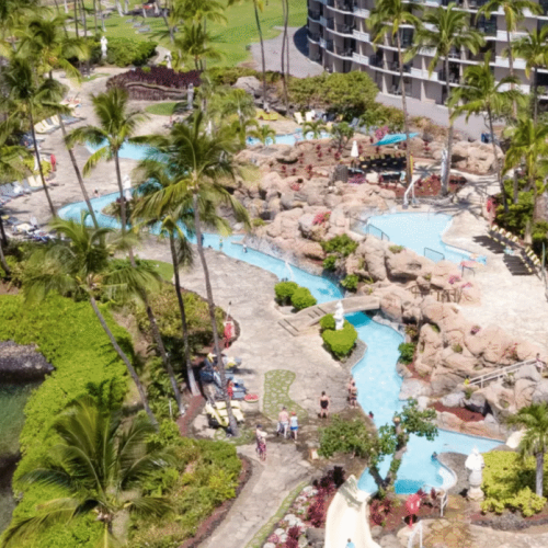 116ba7ad 544f 494a a6c1 37d2bf35f9cb 2 5d6e720d