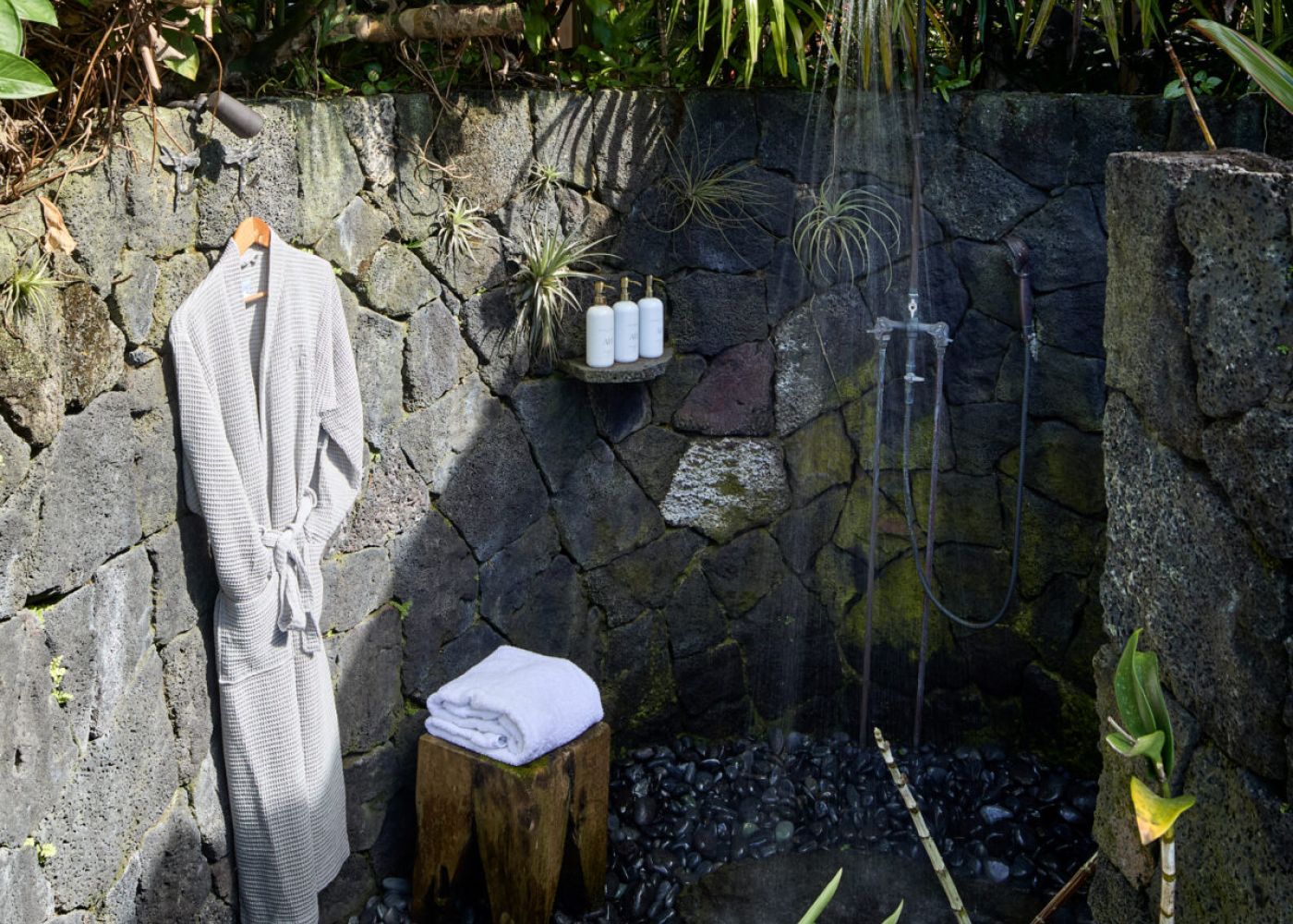 92bc0537 0ed5 40fb 9d31 8097ec91565b 2 5dd9b9fa