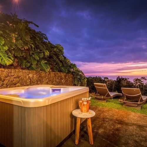 55ec8ee7 8faf 491c ab11 9c9e9e1d3698 3 6009d4cd