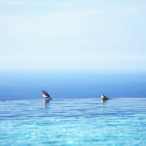 2064c19a 07af 4443 8a71 fca27f9a3948 2 6478b298