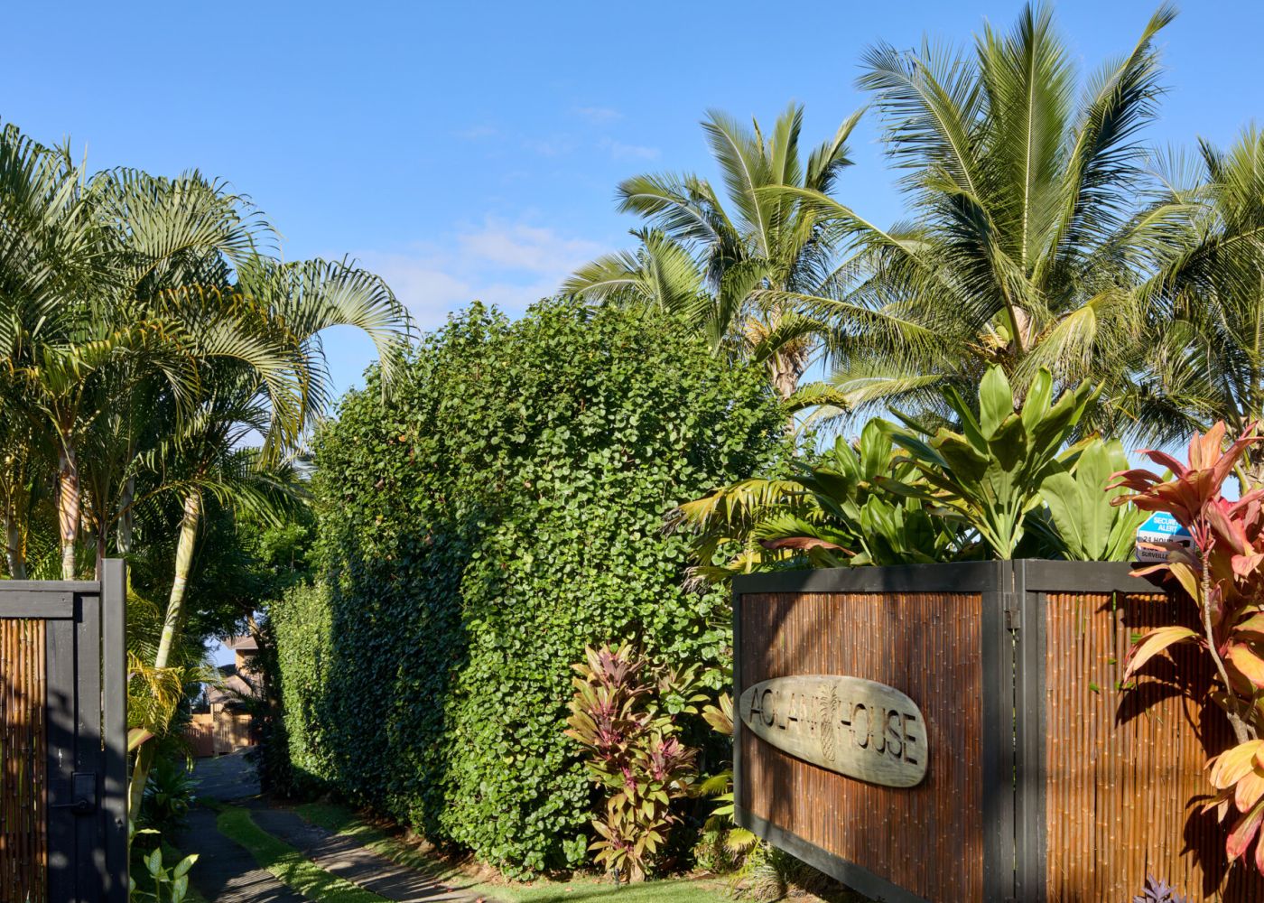 ce9f3a73 c693 4def a7c4 c19fe5dbe6d5 2 90155e46