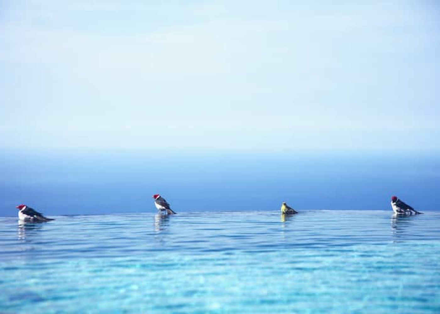 2064c19a 07af 4443 8a71 fca27f9a3948 2 968e942b