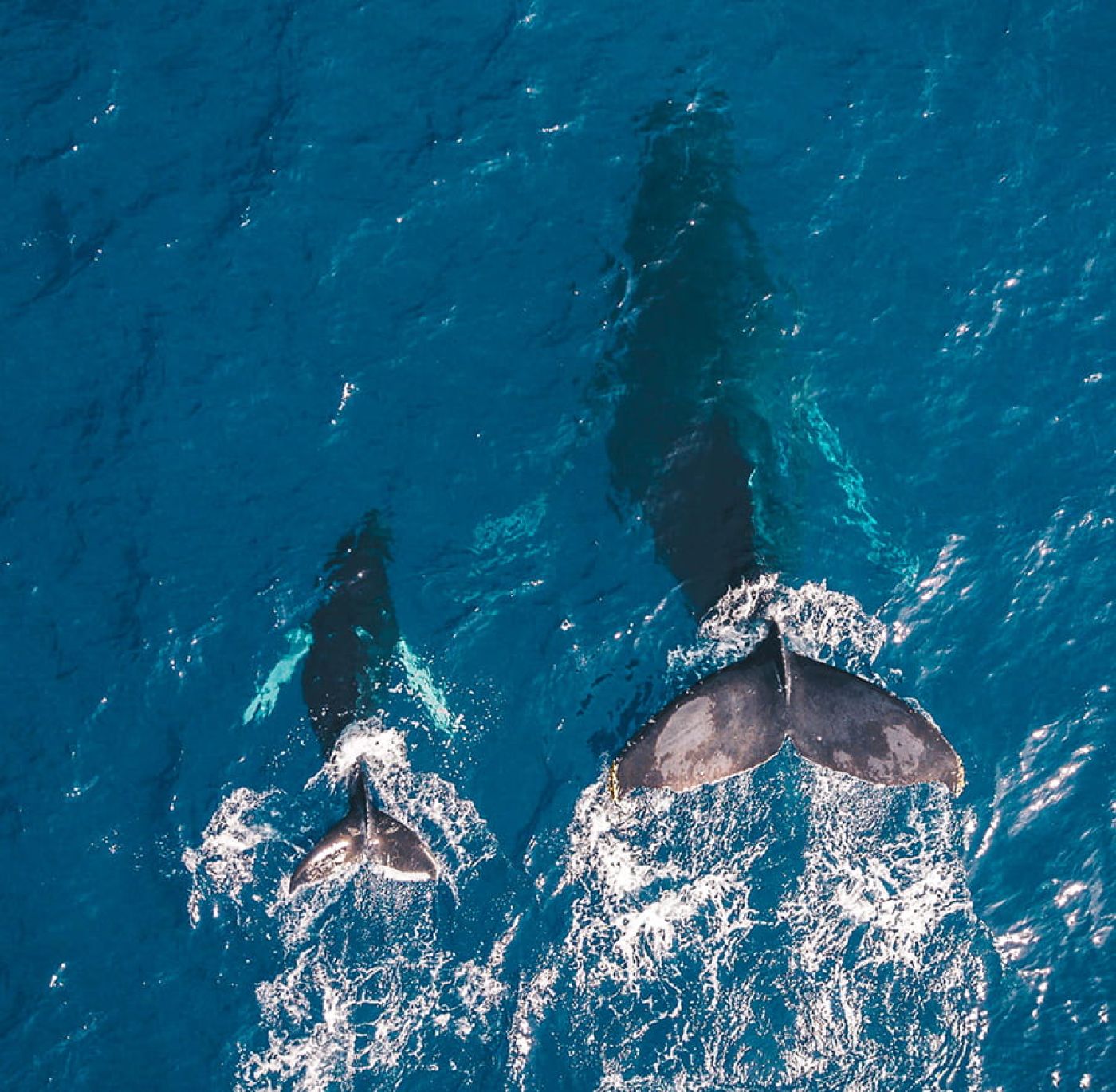 guille pozzi PO0UHx 5mHo unsplash 1 adbd4845