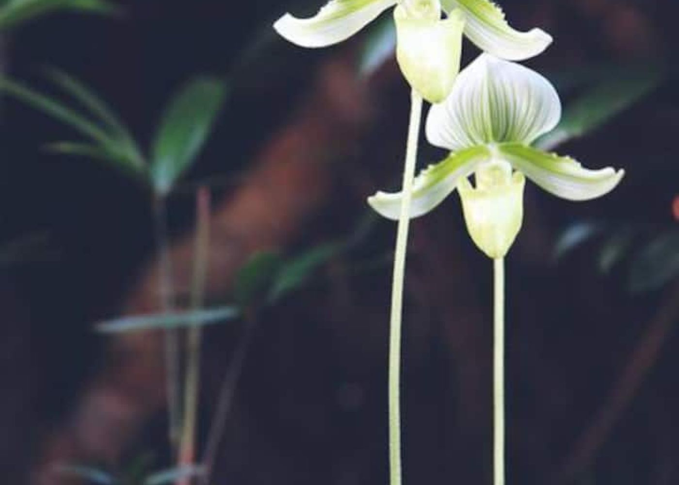 2e0601ae 28e9 40b0 8e15 115c0a795994 2 ae998275