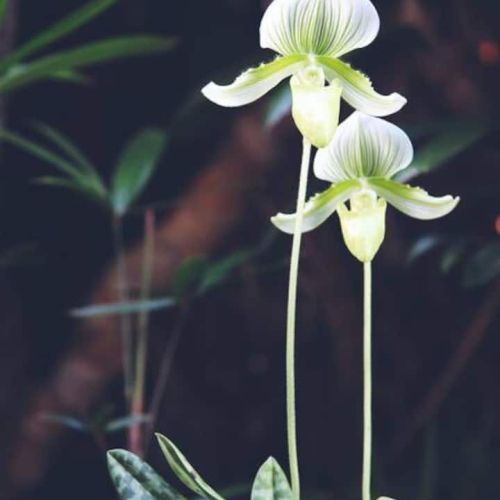 2e0601ae 28e9 40b0 8e15 115c0a795994 3 dffad211