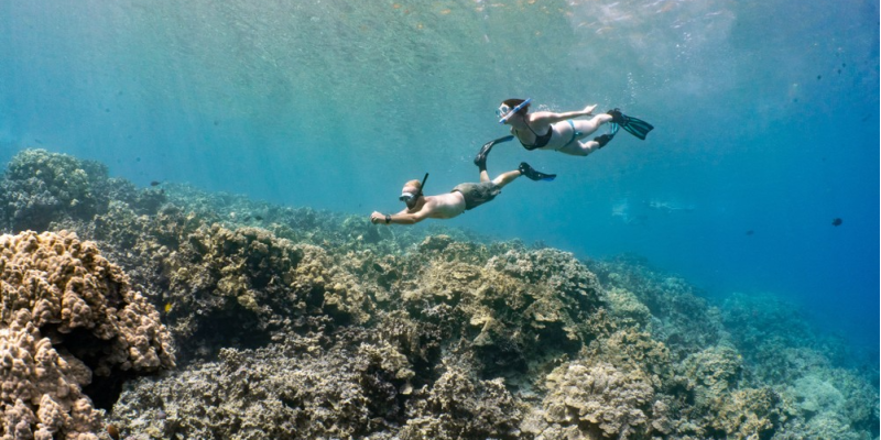 deluxe water tour e21e6ede