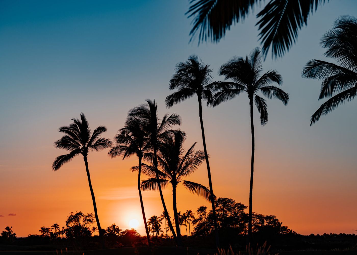 287e6a03 2a1e 430b aa21 ae6eaf1e7817 2 fdec48b4